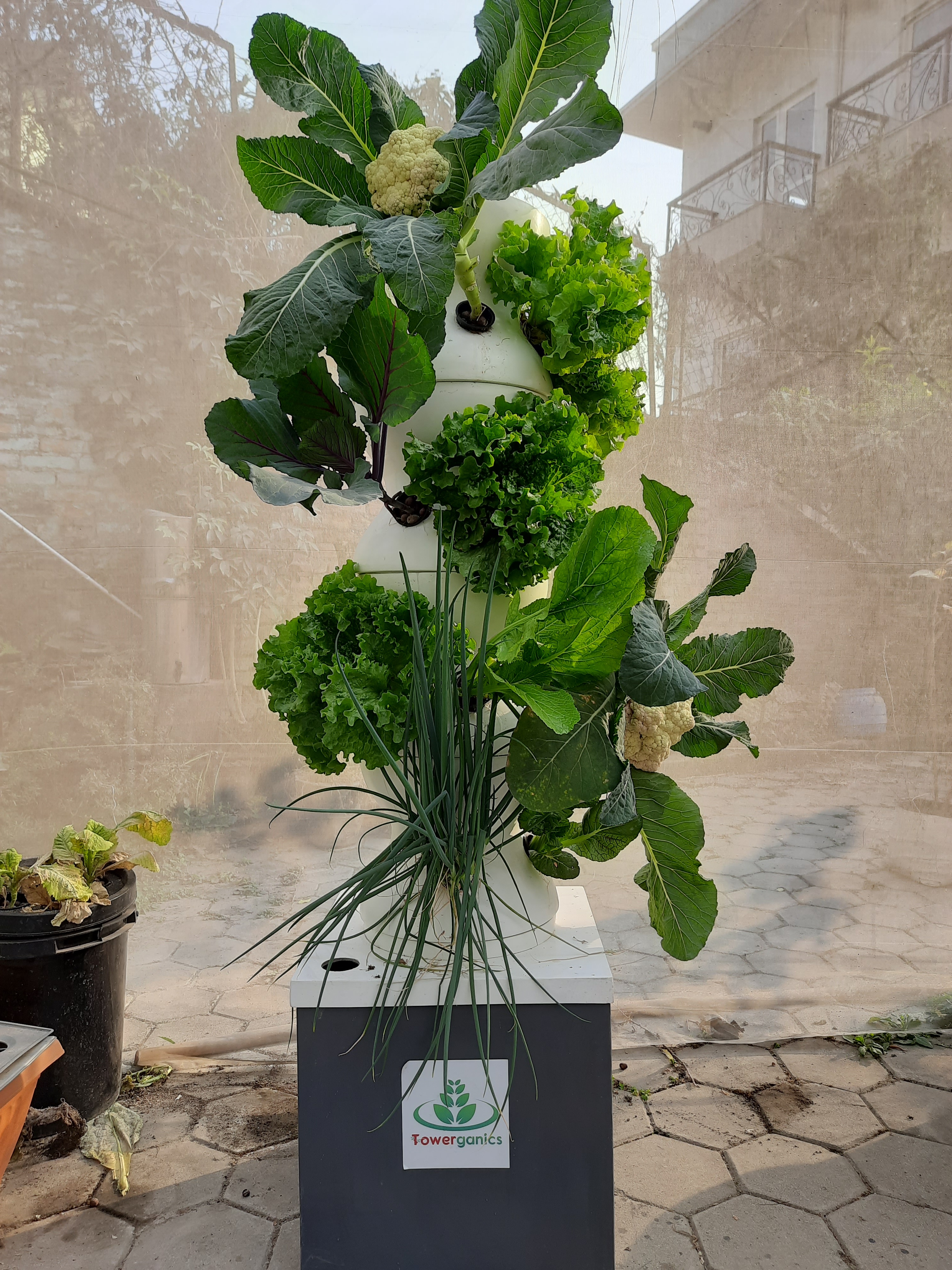 Towerganics gallery photo