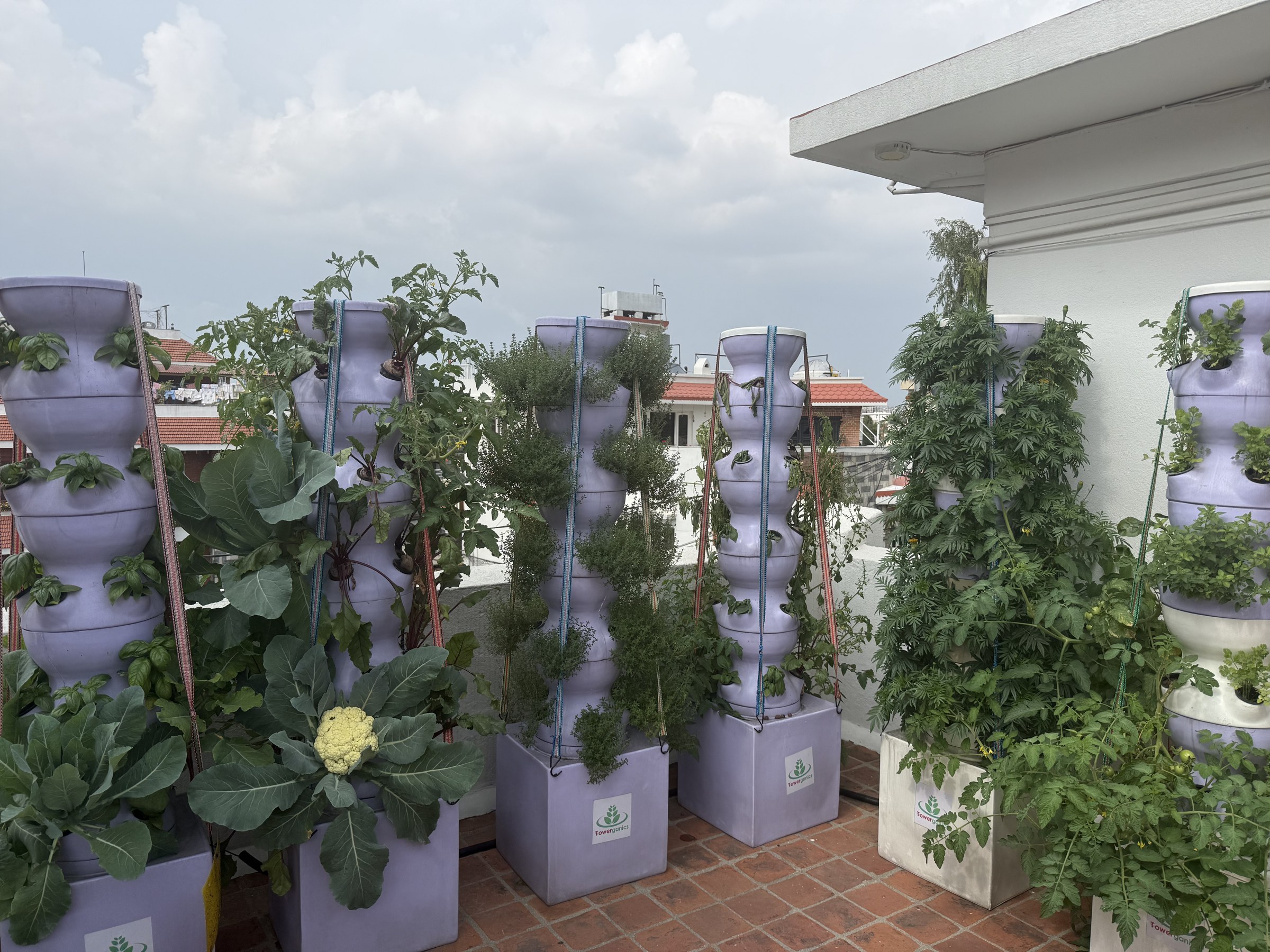 Towerganics gallery photo