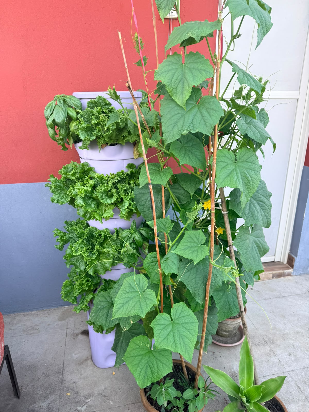 Beginner Tower