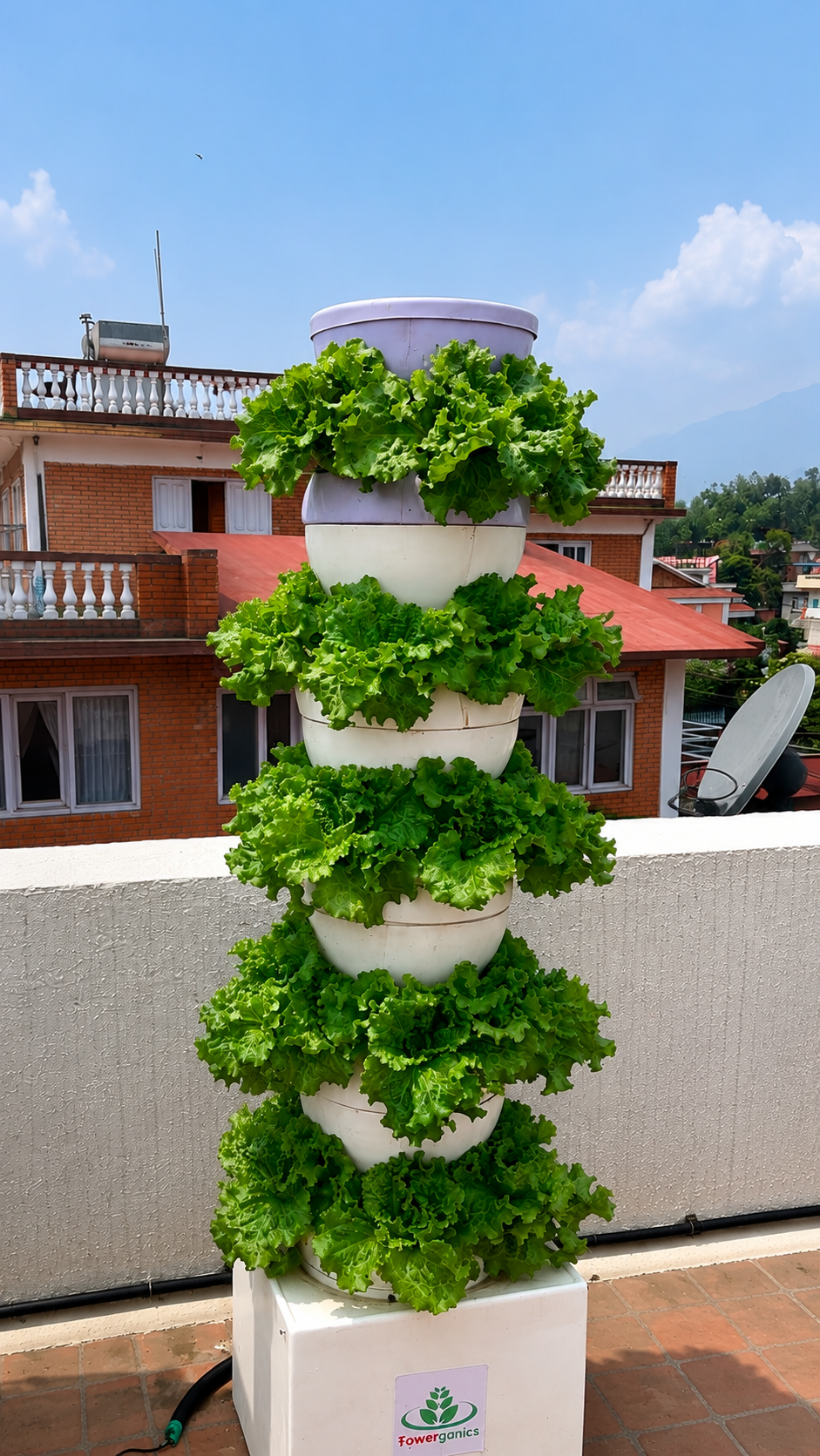 Pro Tower