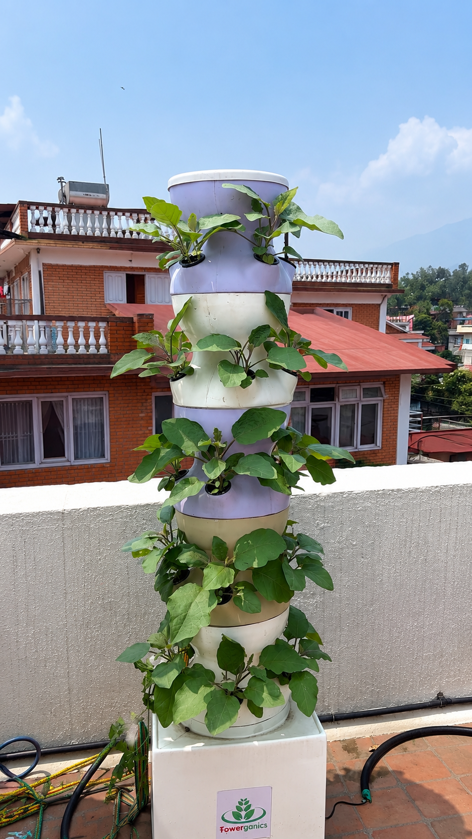 Pro Tower